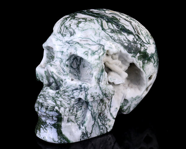 5.7" Moss Agate Hand Carved Crystal Realistic Skull Sculpture crysvibe