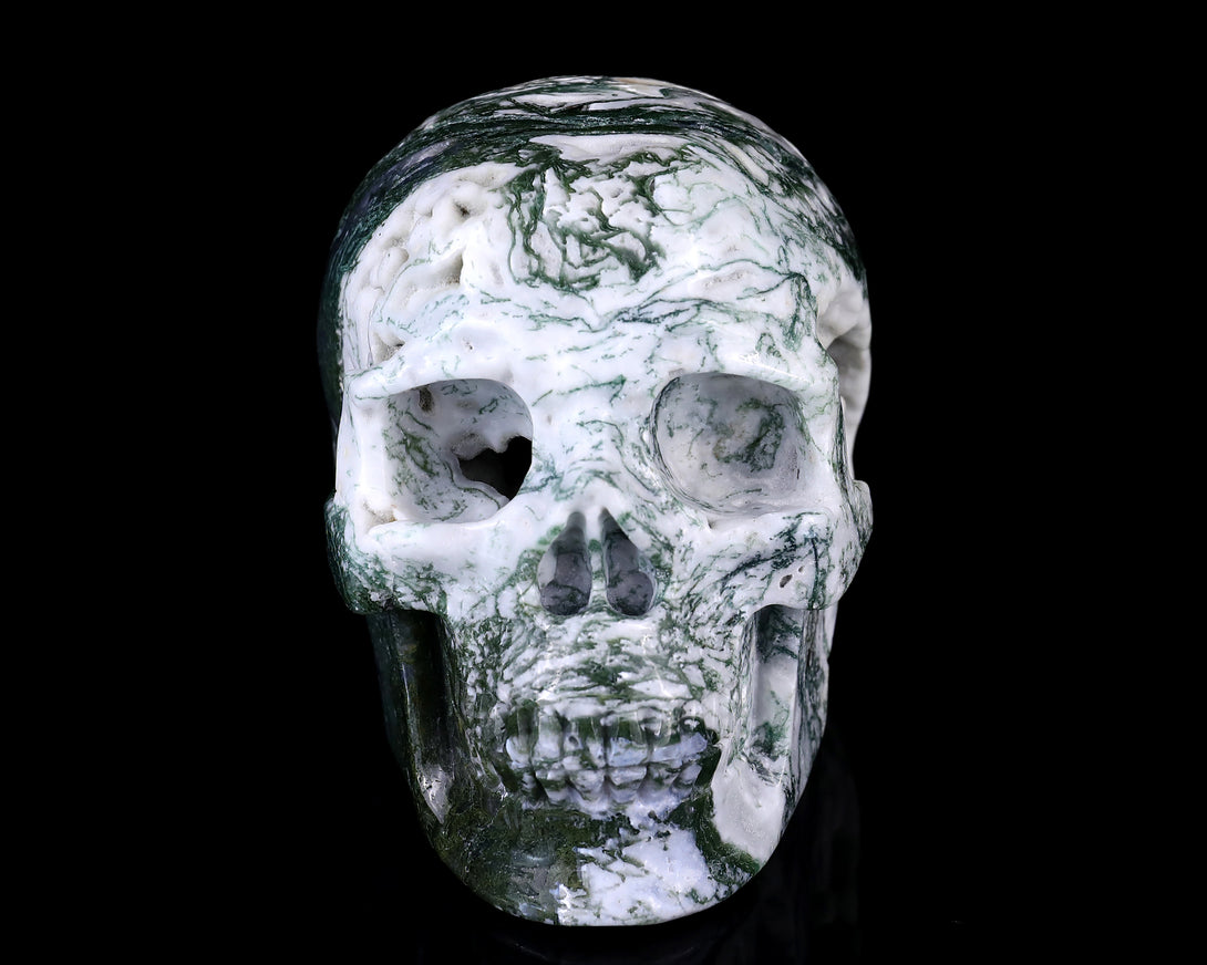 5.7" Moss Agate Hand Carved Crystal Realistic Skull Sculpture crysvibe