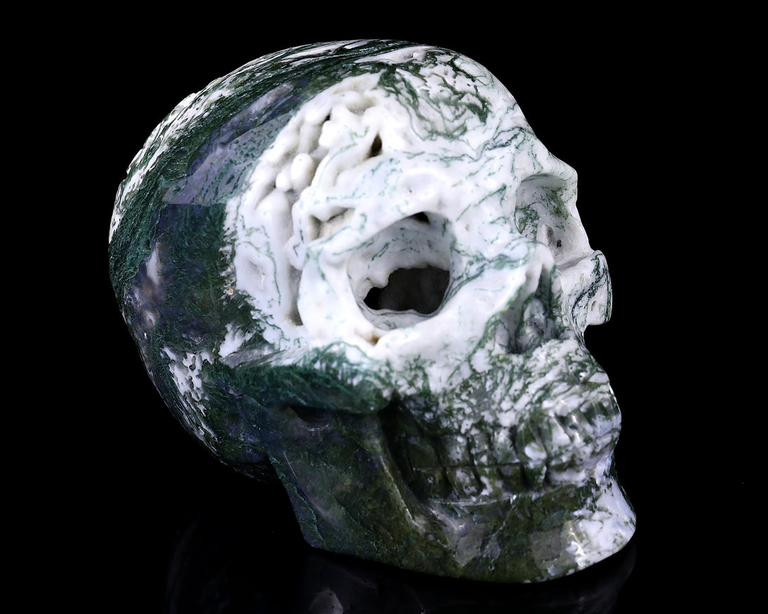 5.7" Moss Agate Hand Carved Crystal Realistic Skull Sculpture crysvibe