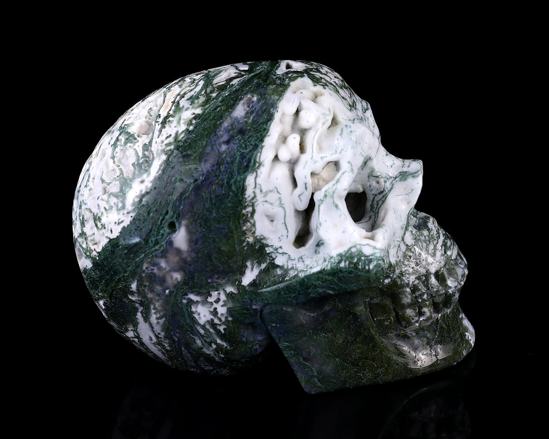 5.7" Moss Agate Hand Carved Crystal Realistic Skull Sculpture crysvibe