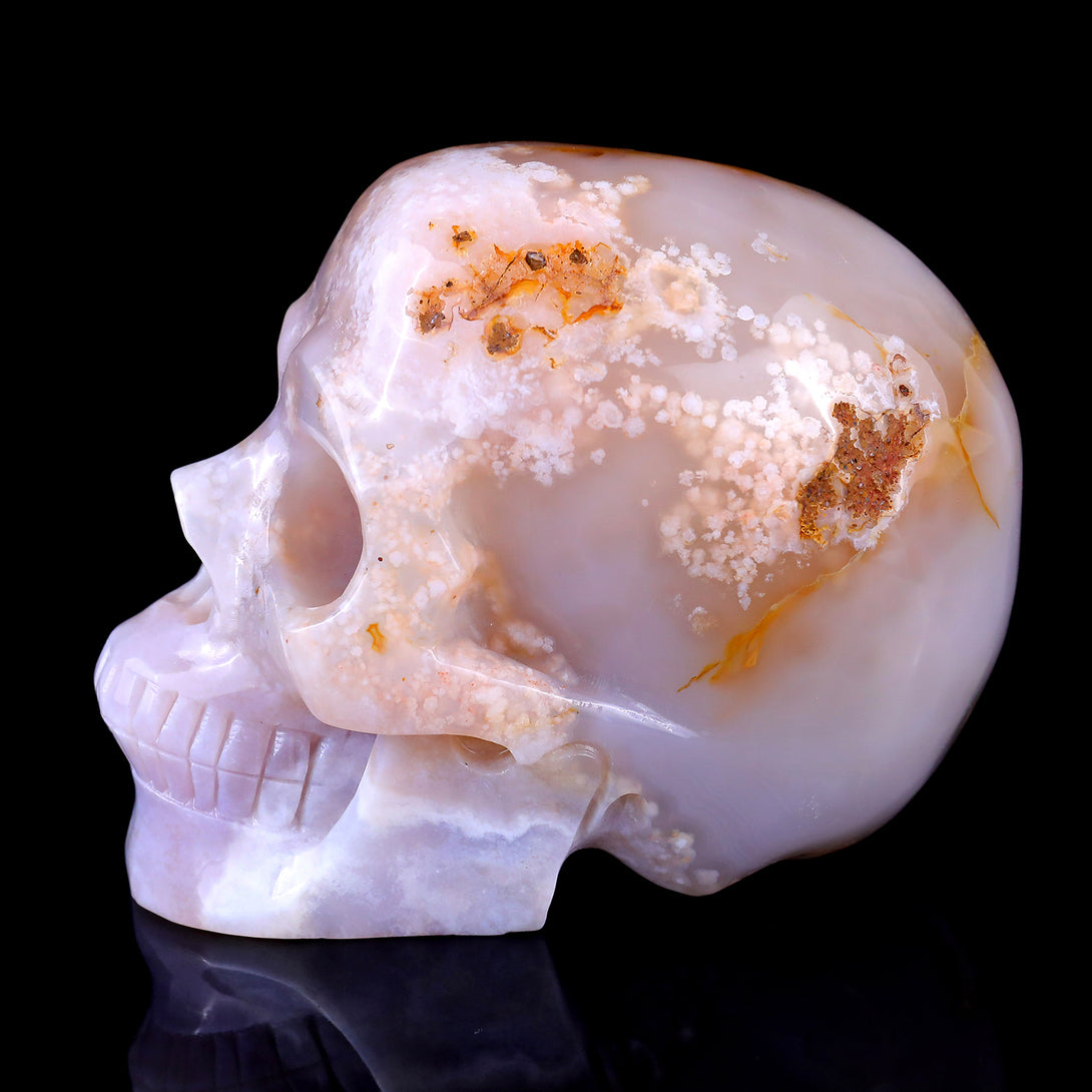 5.7" Sakura Agate Hand Carved Crystal Realistic Skull Sculpture crysvibe