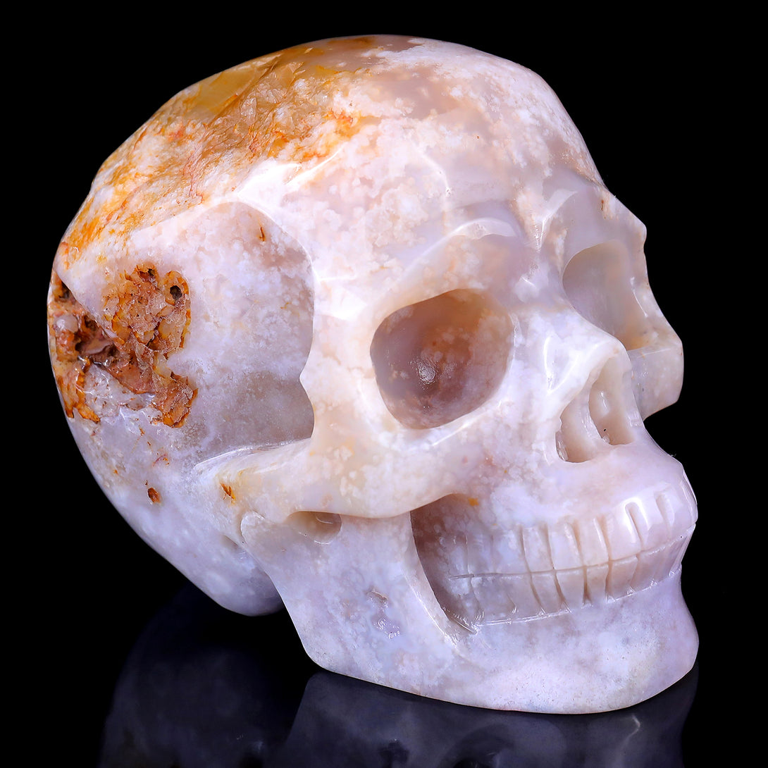 5.7" Sakura Agate Hand Carved Crystal Realistic Skull Sculpture crysvibe