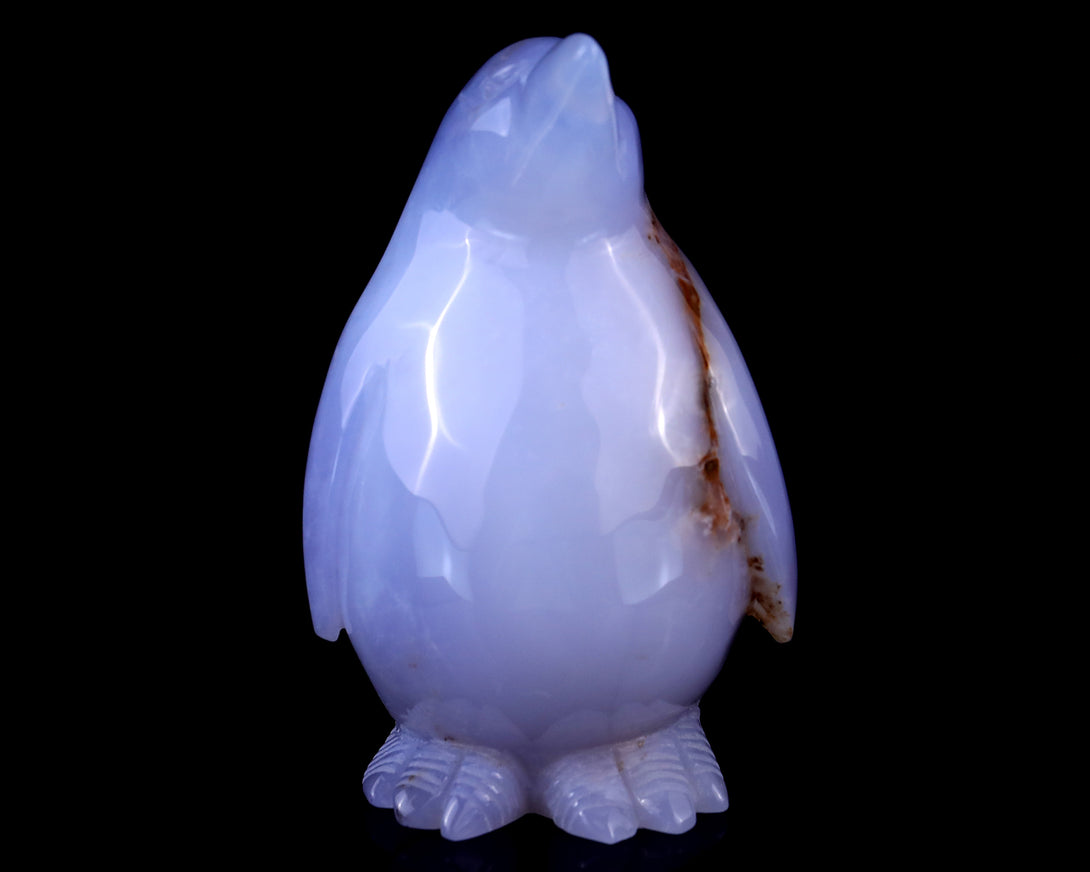 5.9" Blue Chalcedony Hand Carved Crystal Penguin Sculpture crysvibe