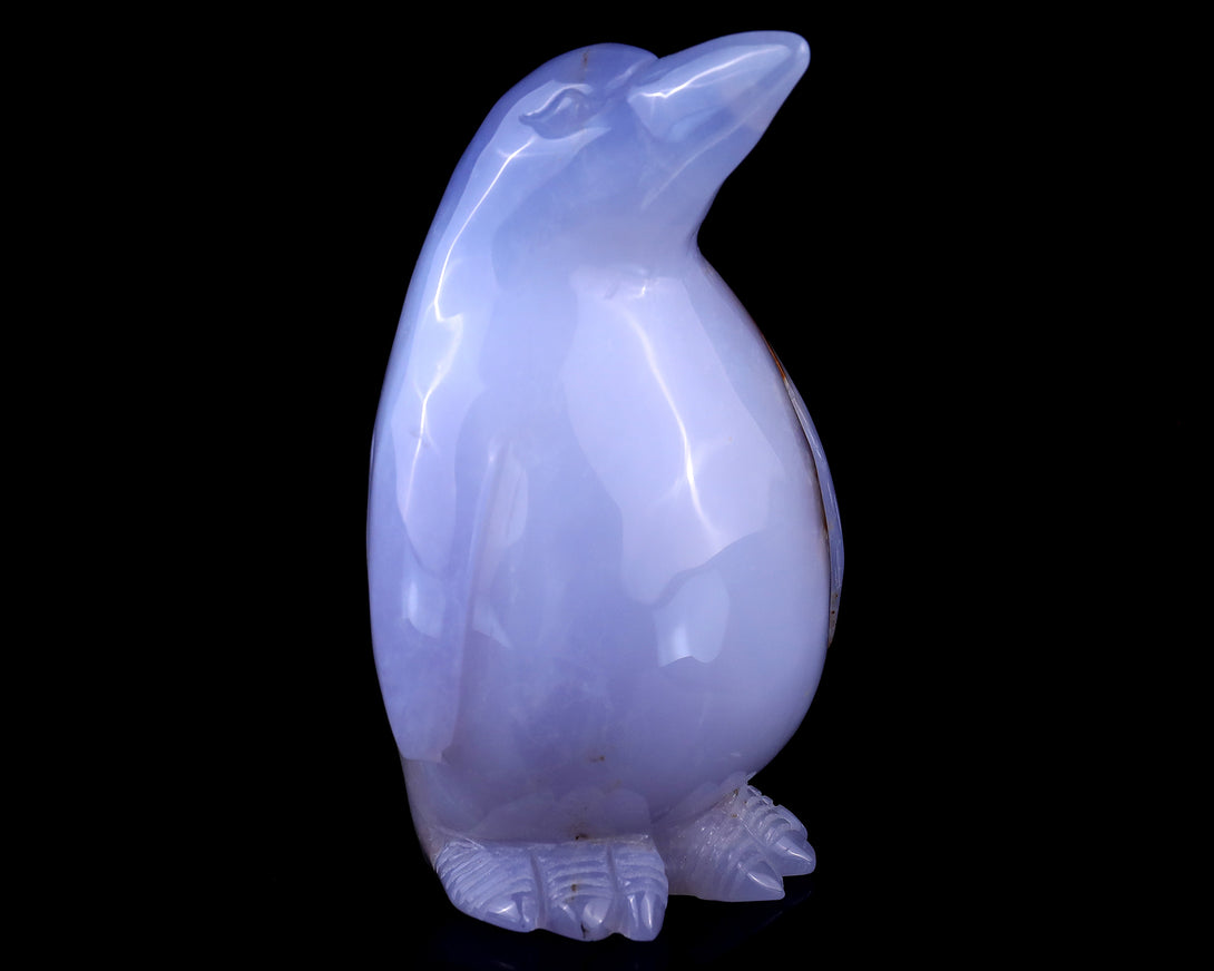 5.9" Blue Chalcedony Hand Carved Crystal Penguin Sculpture crysvibe