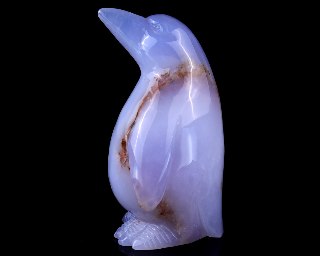 5.9" Blue Chalcedony Hand Carved Crystal Penguin Sculpture crysvibe