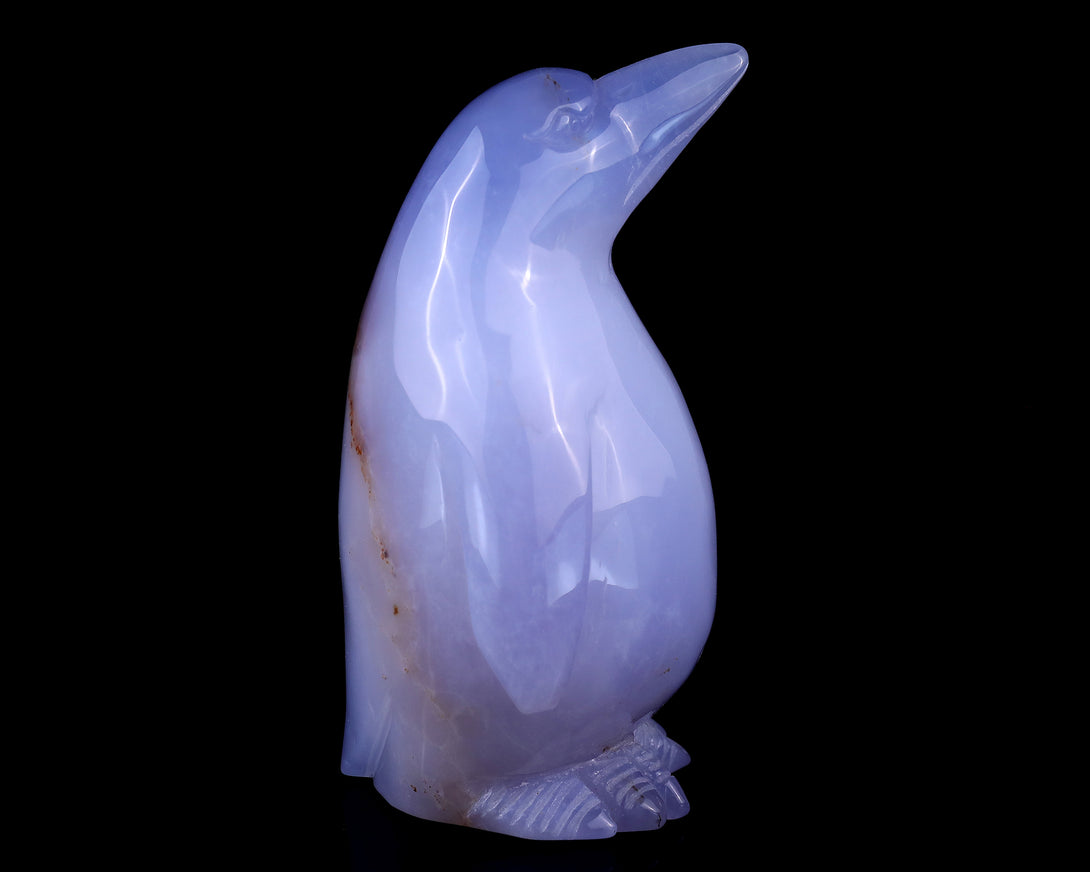 5.9" Blue Chalcedony Hand Carved Crystal Penguin Sculpture crysvibe