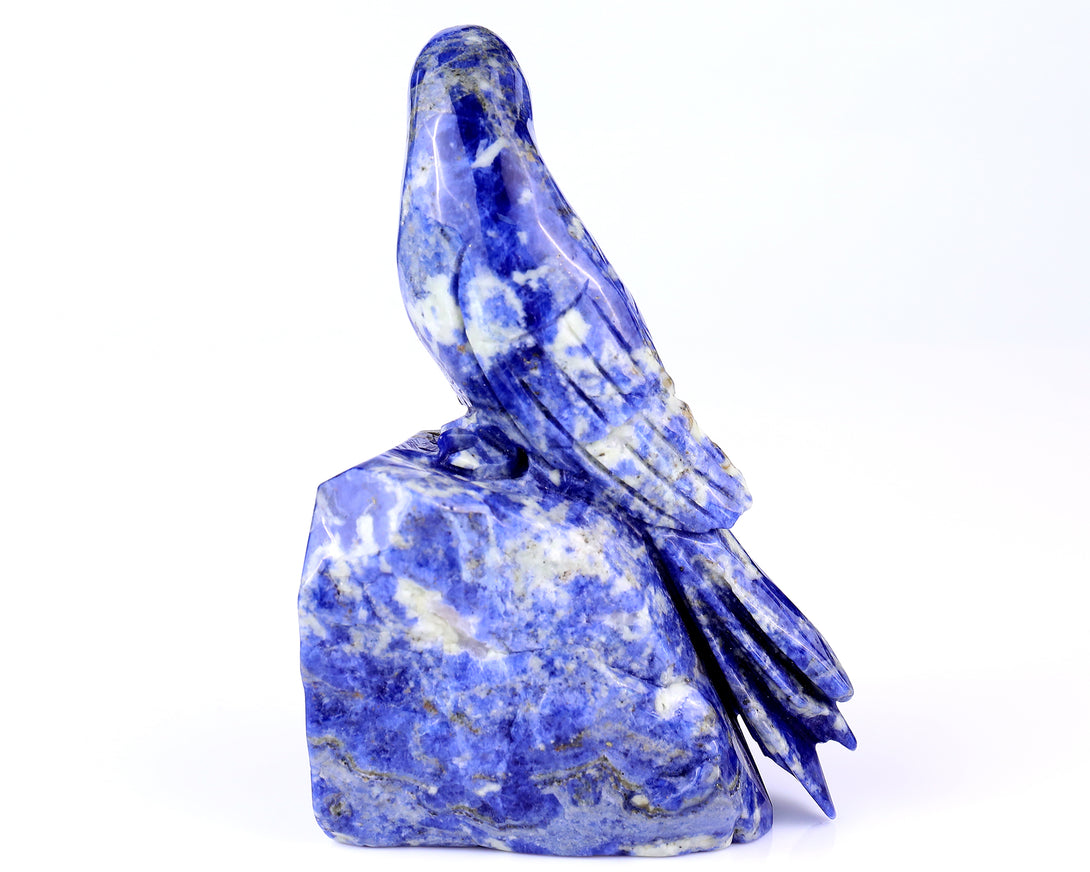 5.9" Sodalite Hand Carved Crystal Parrot Sculpture crysvibe