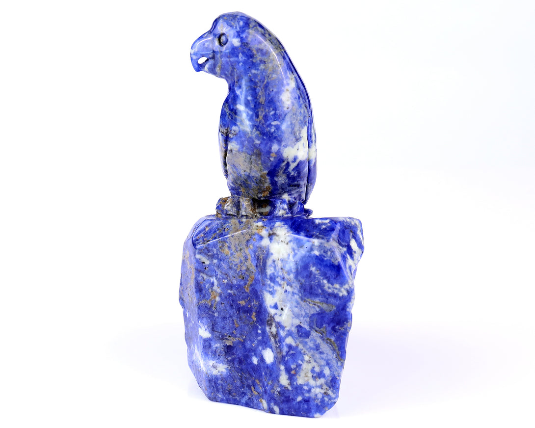 5.9" Sodalite Hand Carved Crystal Parrot Sculpture crysvibe