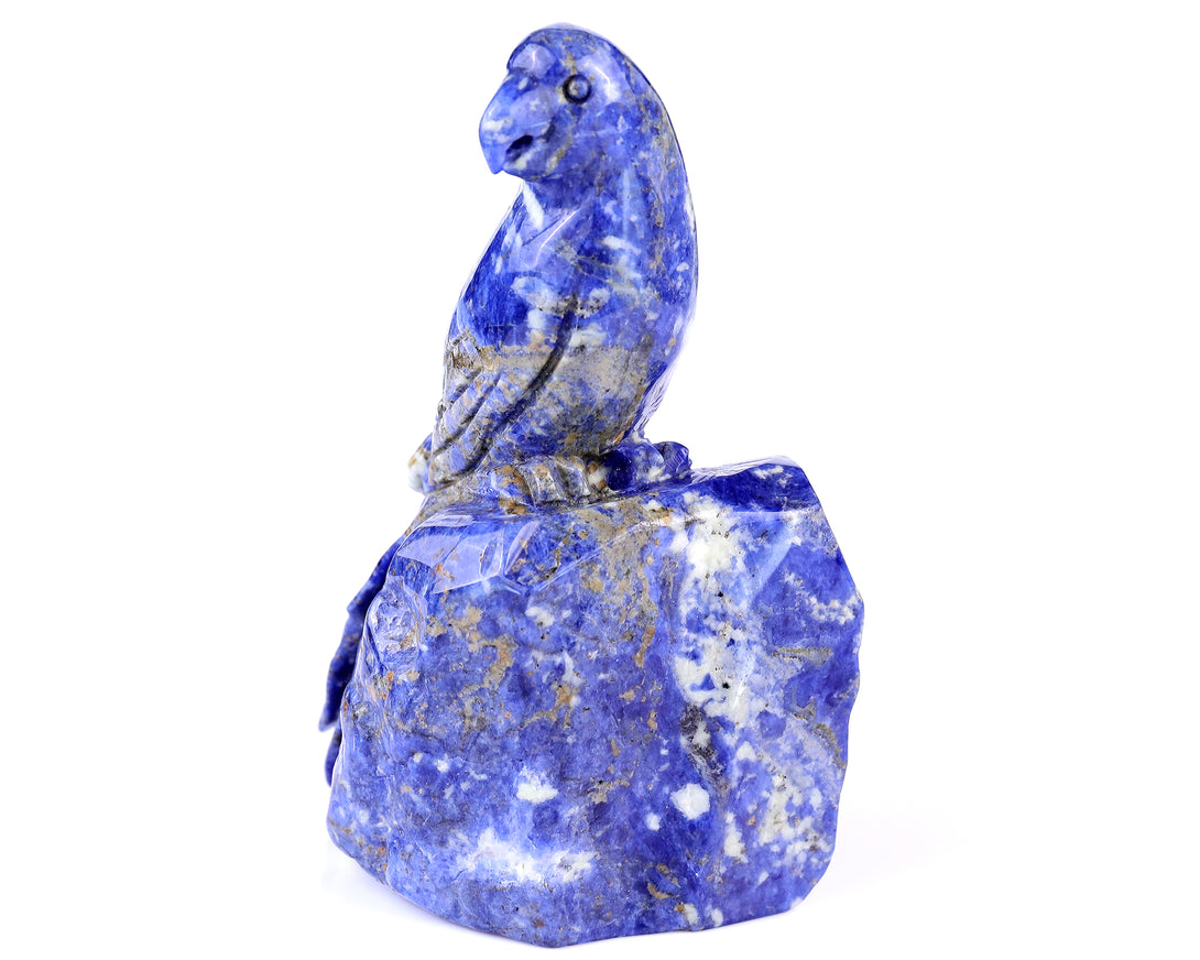 5.9" Sodalite Hand Carved Crystal Parrot Sculpture crysvibe