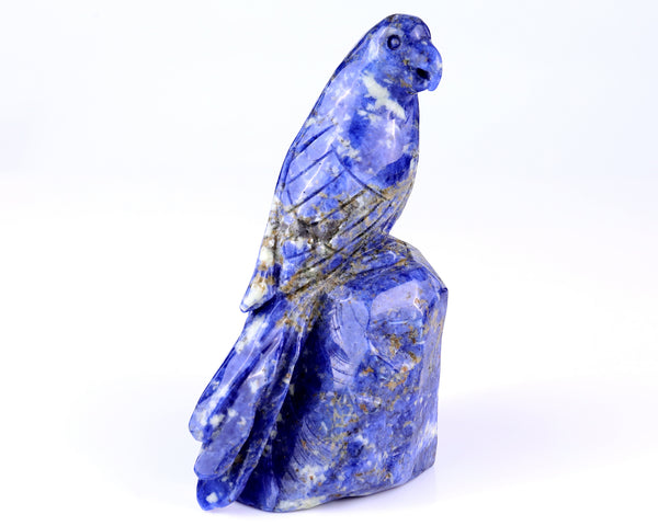 5.9" Sodalite Hand Carved Crystal Parrot Sculpture crysvibe