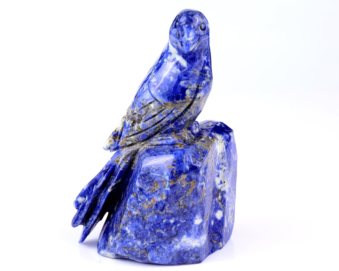 5.9" Sodalite Hand Carved Crystal Parrot Sculpture crysvibe