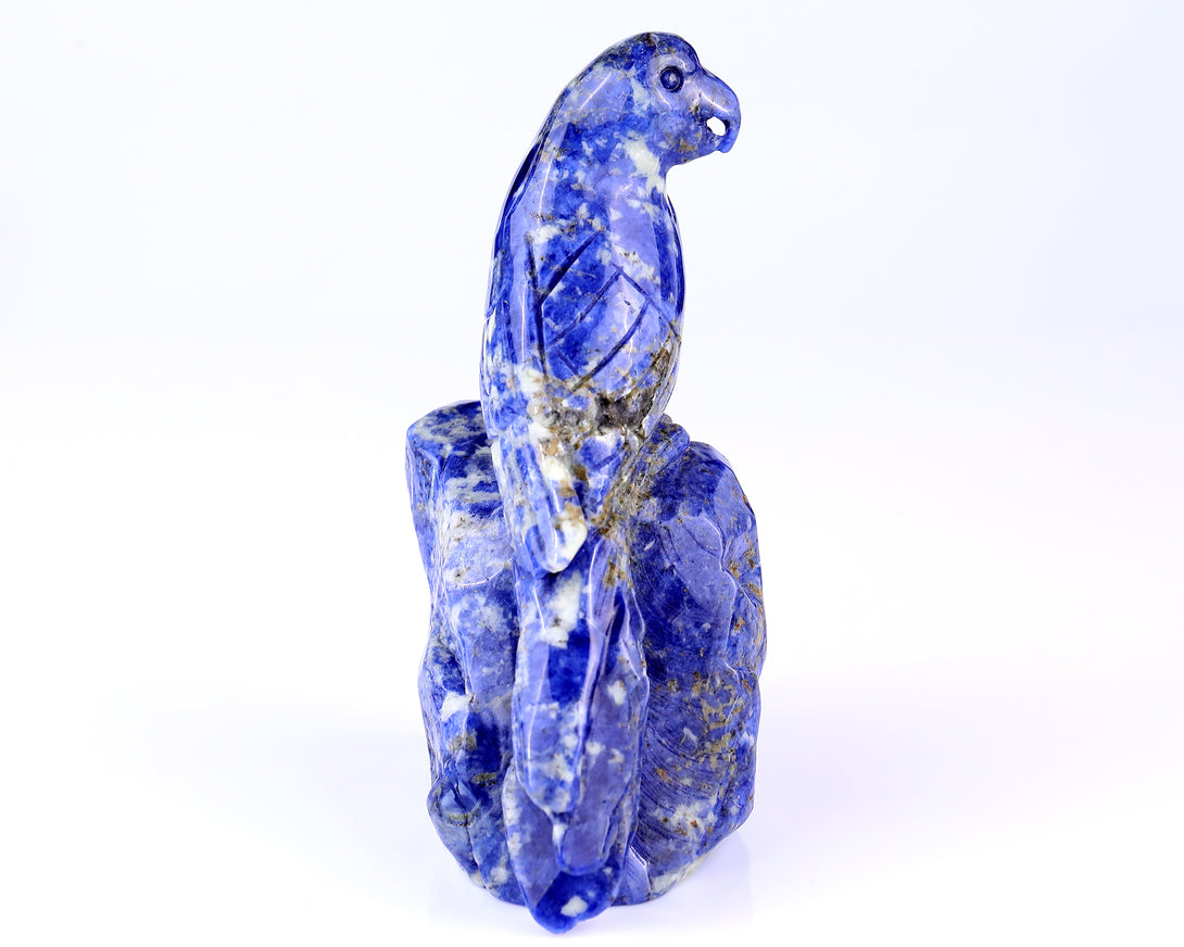 5.9" Sodalite Hand Carved Crystal Parrot Sculpture crysvibe