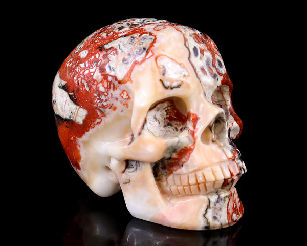 Natural Coin Agate Hand Carved Crystal Realistic Skull Sculpture