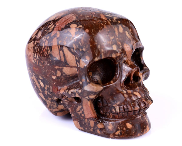 Natural Coffee Stone Hand Carved Crystal Realistic Skull Sculpture