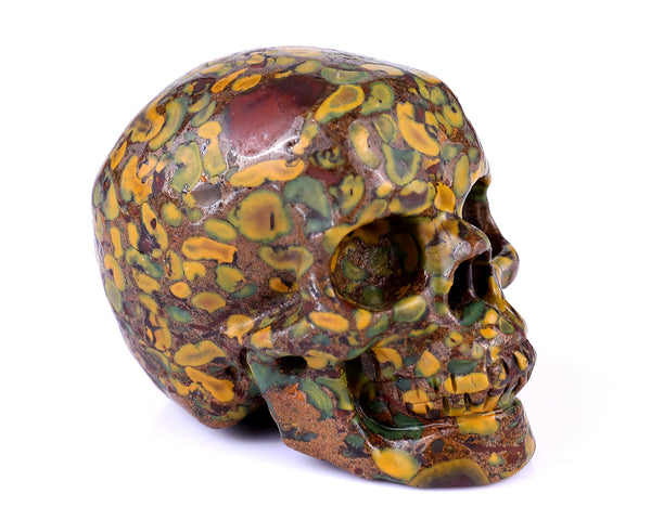 Natural Oolite Hand Carved Crystal Realistic Skull Sculpture