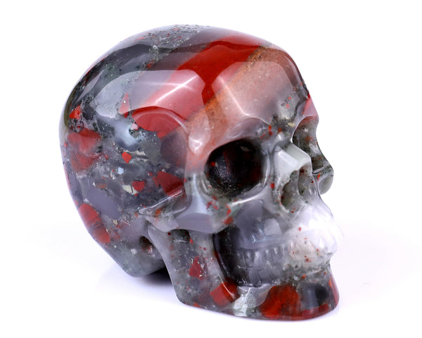 Natural African Blood Stone Hand Carved Crystal Realistic Skull Sculpture