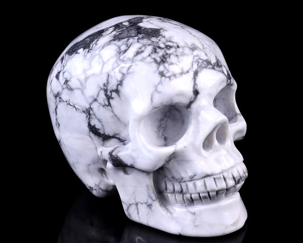 Natural Howlite Hand Carved Crystal Realistic Skull Sculpture