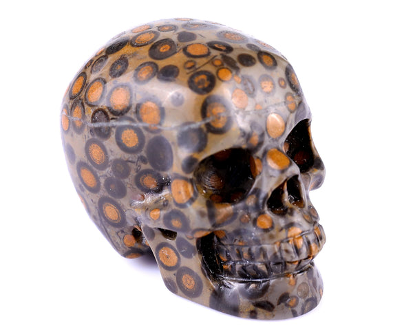 Natural Leopard Skin Jasper Hand Carved Crystal Realistic Skull Sculpture