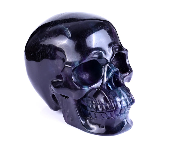 8.1" Fluorite Hand Carved Crystal Realistic Hollow Skull Sculpture