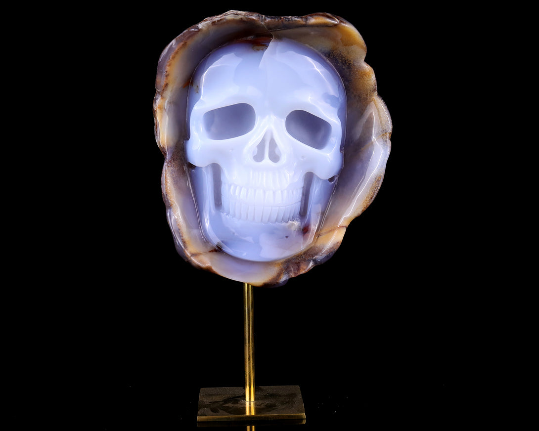 6.4" Blue Chalcedony Hand Carved Mineral Specimen Skull Sculpture crysvibe