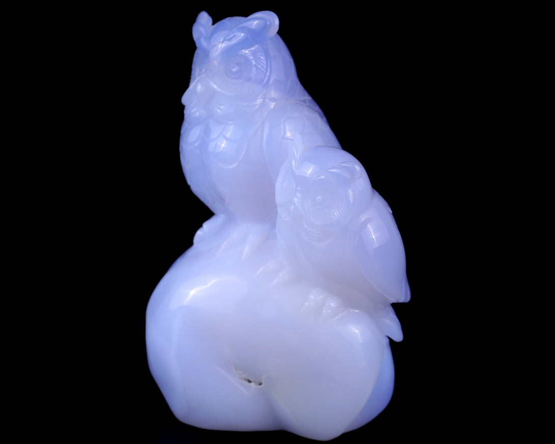 6.5" Blue Chalcedony Hand Carved Crystal Owls Sculpture crysvibe