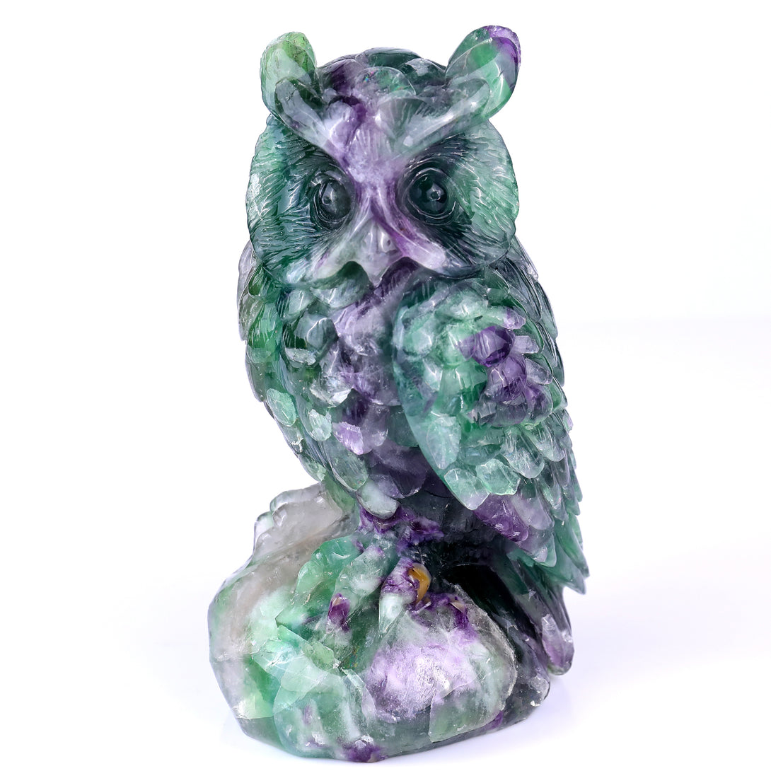 6.5" Fluorite Hand Carved Crystal Owl Sculpture crysvibe