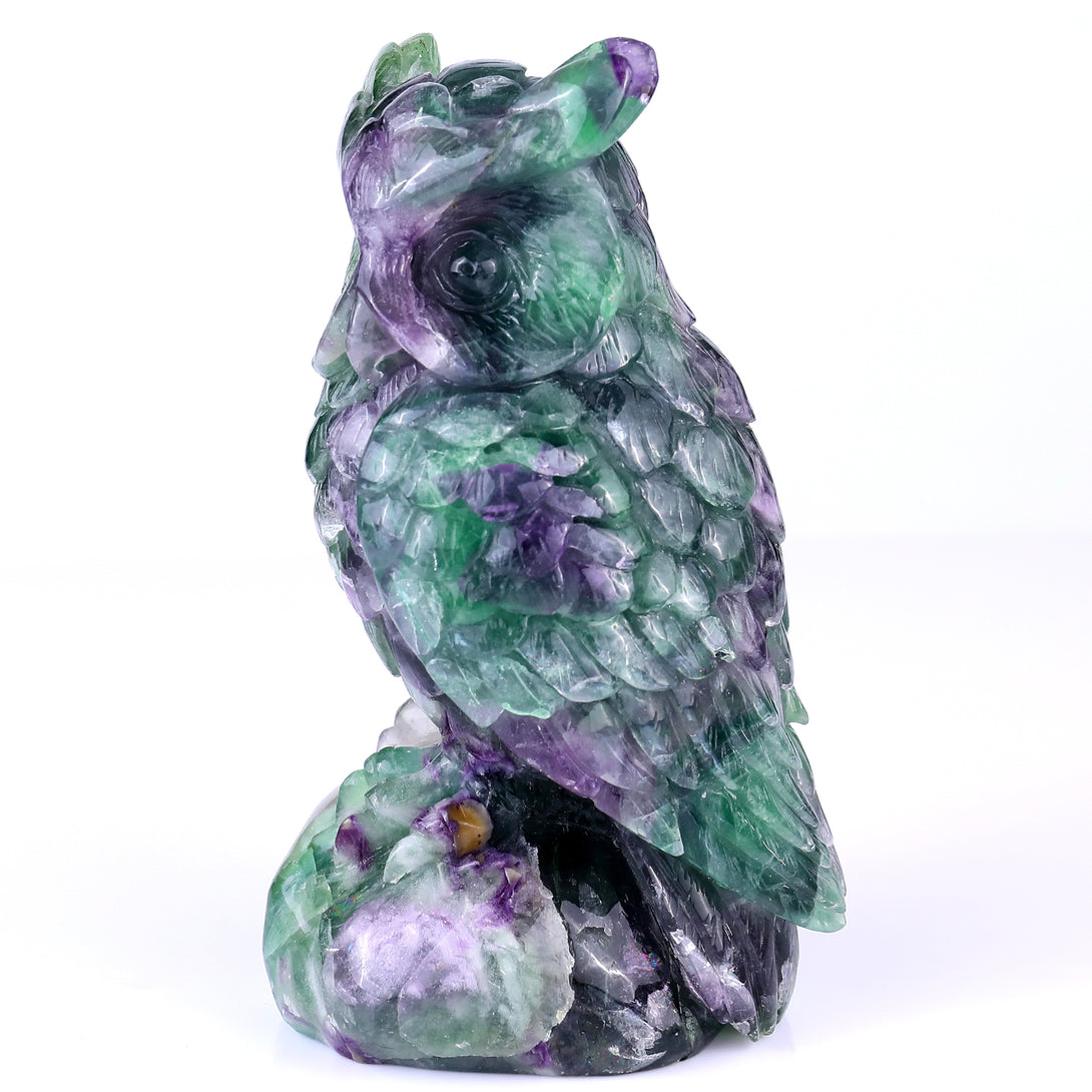 6.5" Fluorite Hand Carved Crystal Owl Sculpture crysvibe