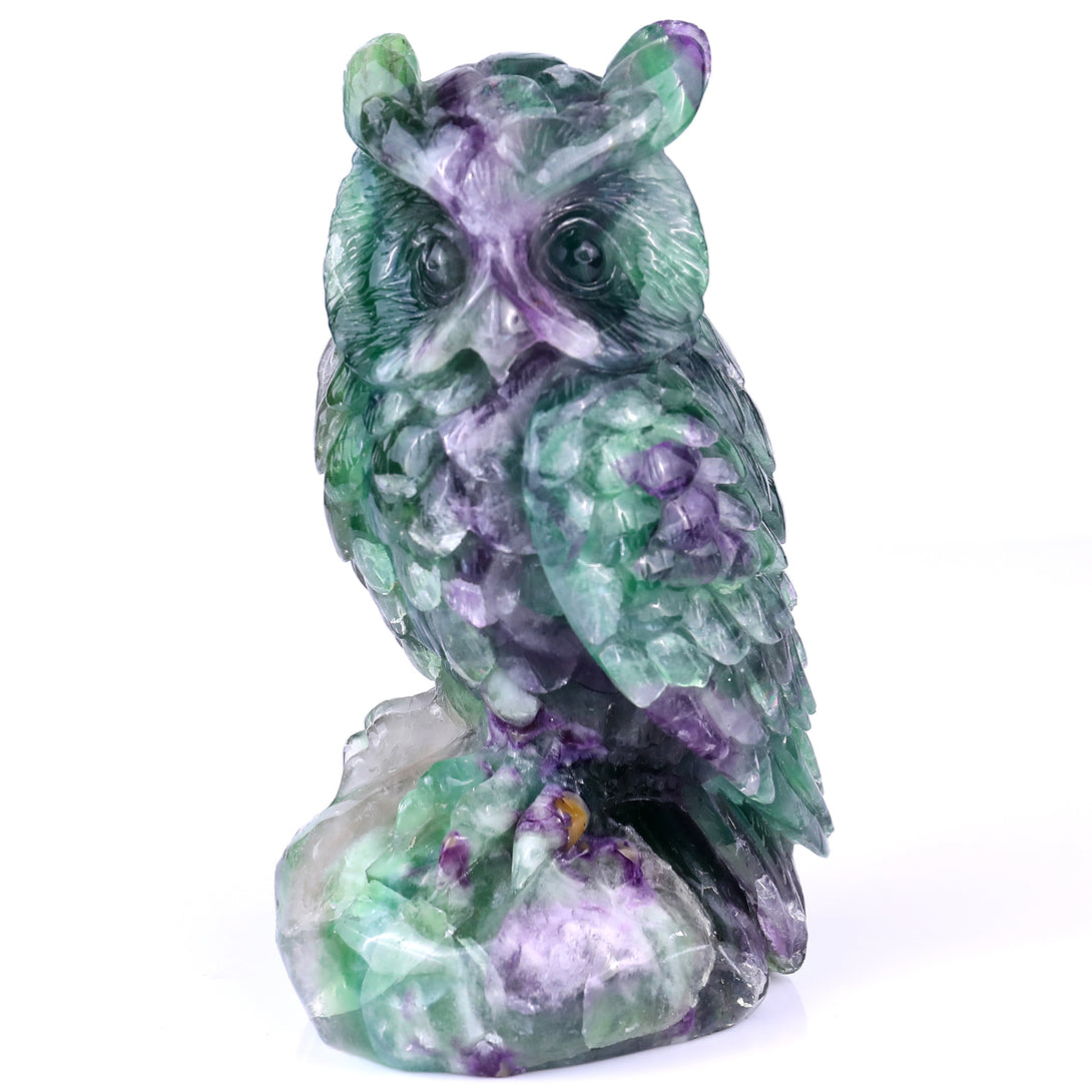 6.5" Fluorite Hand Carved Crystal Owl Sculpture crysvibe