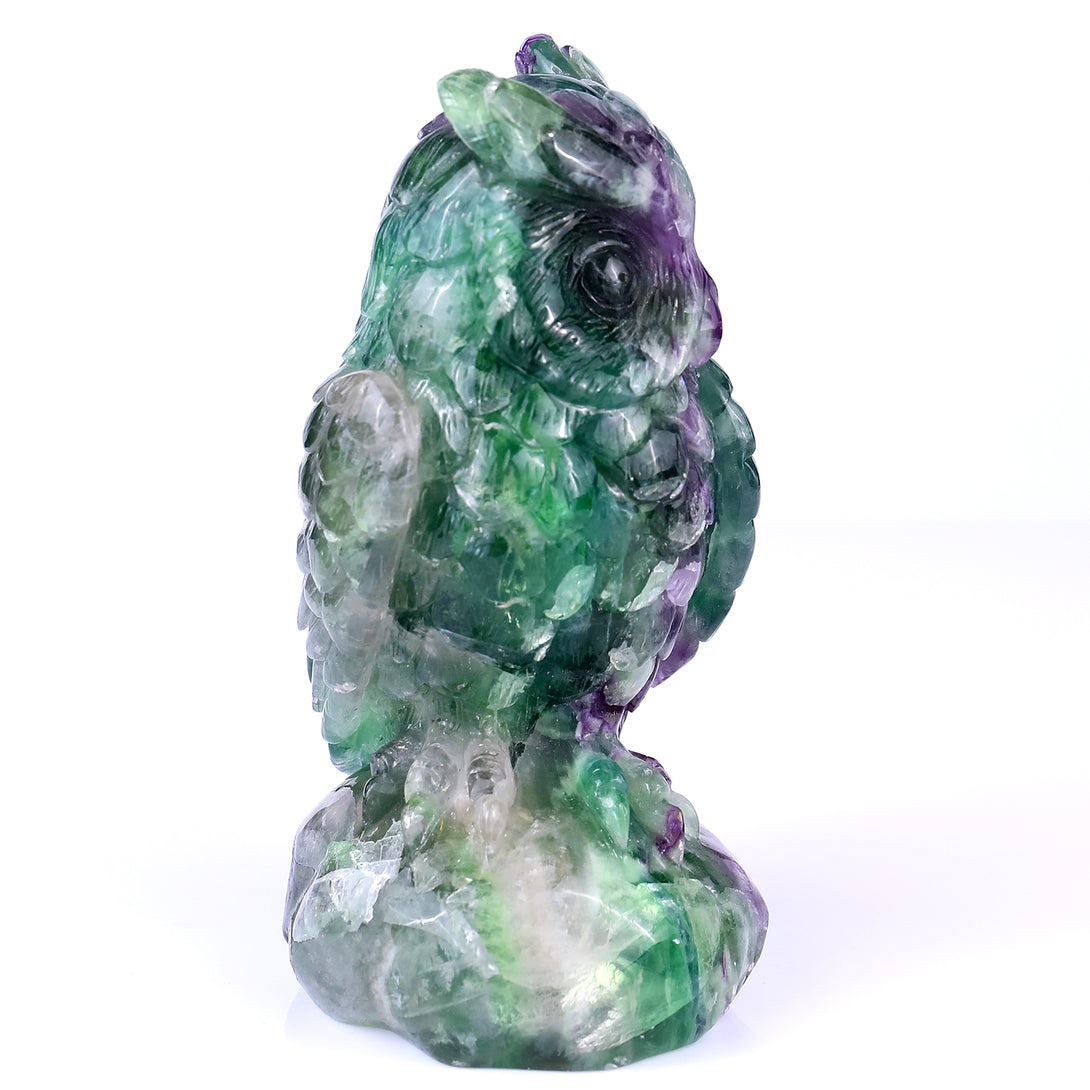 6.5" Fluorite Hand Carved Crystal Owl Sculpture crysvibe