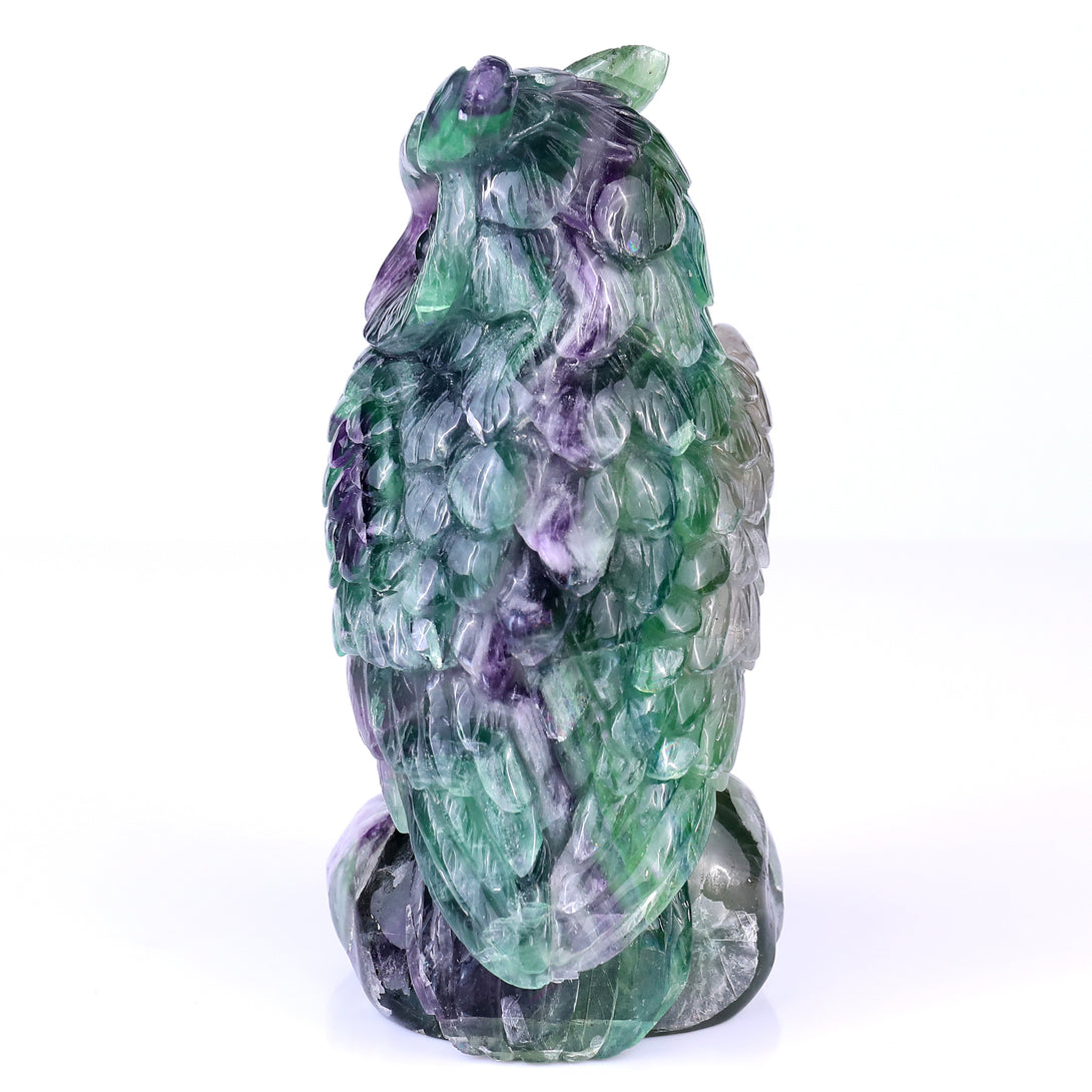 6.5" Fluorite Hand Carved Crystal Owl Sculpture crysvibe