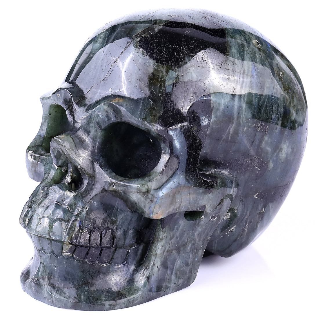 6.9" Blue Labradorite Hand Carved Crystal Realistic Skull Sculpture crysvibe