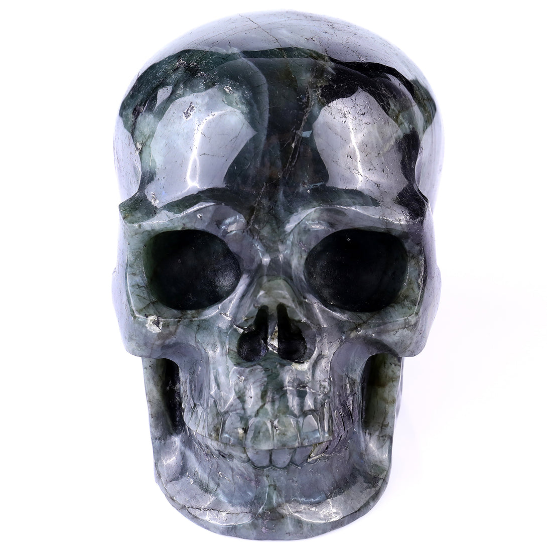 6.9" Blue Labradorite Hand Carved Crystal Realistic Skull Sculpture crysvibe