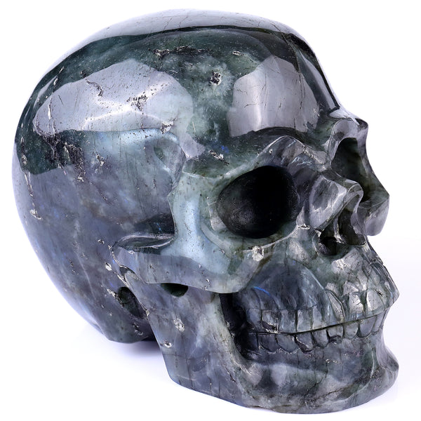 6.9" Blue Labradorite Hand Carved Crystal Realistic Skull Sculpture crysvibe