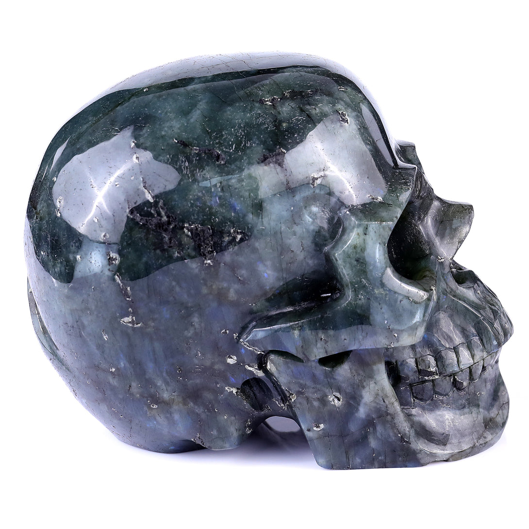 6.9" Blue Labradorite Hand Carved Crystal Realistic Skull Sculpture crysvibe