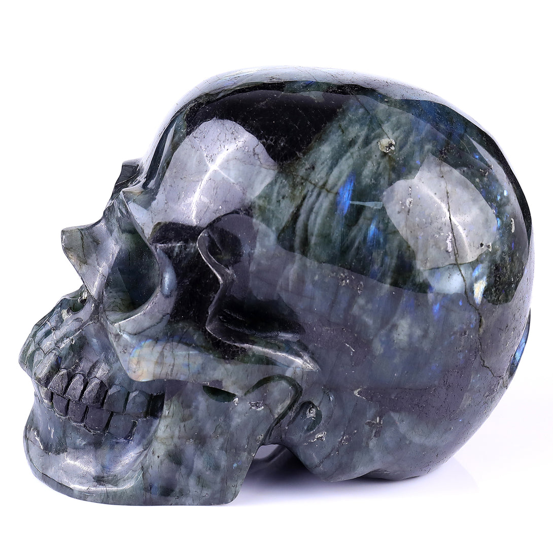 6.9" Blue Labradorite Hand Carved Crystal Realistic Skull Sculpture crysvibe