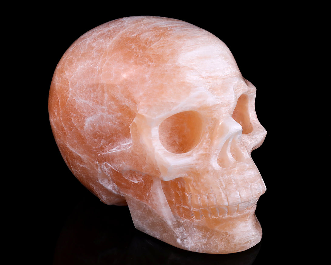 6.9" Orange Selenite Hand Carved Crystal Realistic Skull Sculpture crysvibe