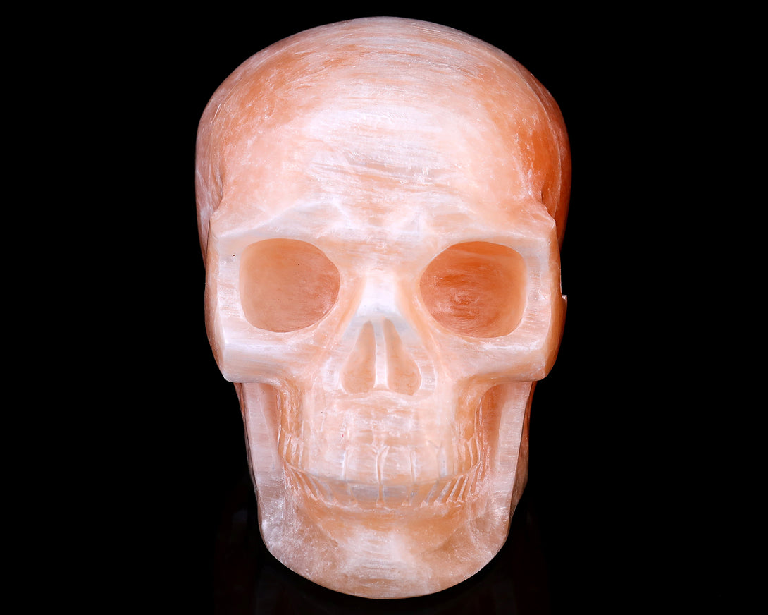 6.9" Orange Selenite Hand Carved Crystal Realistic Skull Sculpture crysvibe