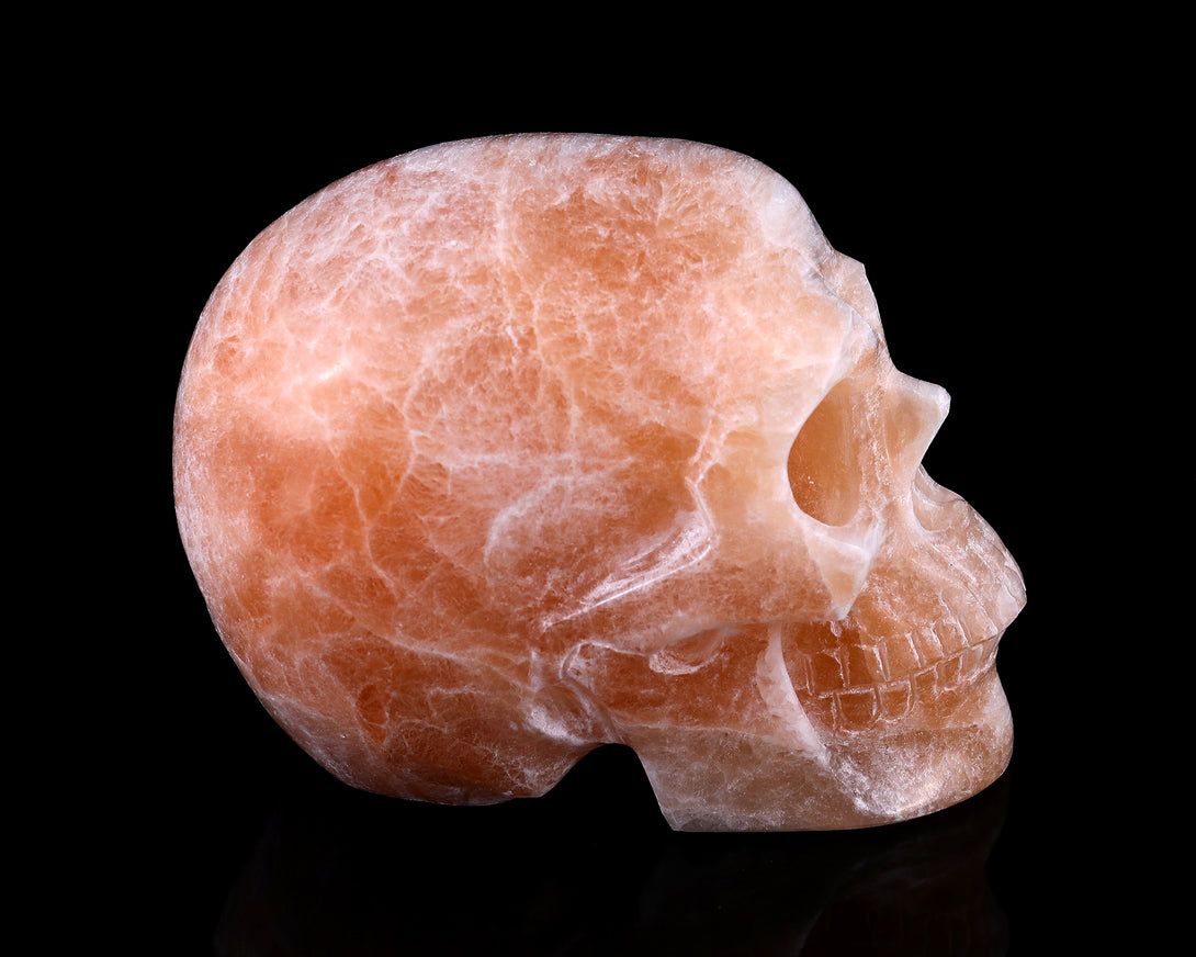 6.9" Orange Selenite Hand Carved Crystal Realistic Skull Sculpture crysvibe