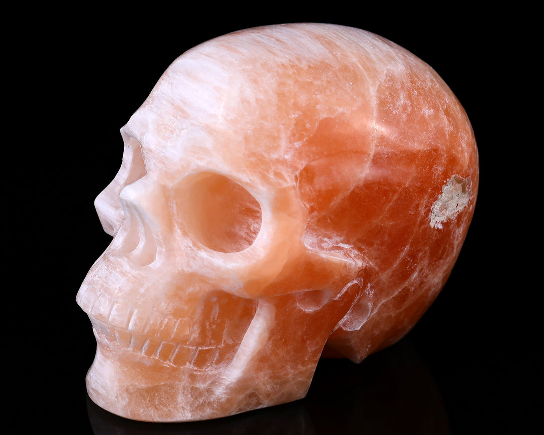 6.9" Orange Selenite Hand Carved Crystal Realistic Skull Sculpture crysvibe