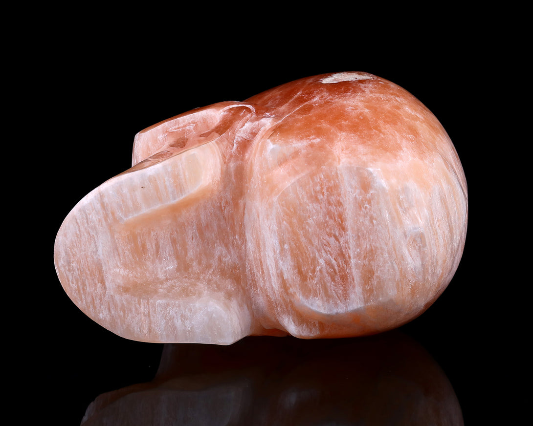 6.9" Orange Selenite Hand Carved Crystal Realistic Skull Sculpture crysvibe