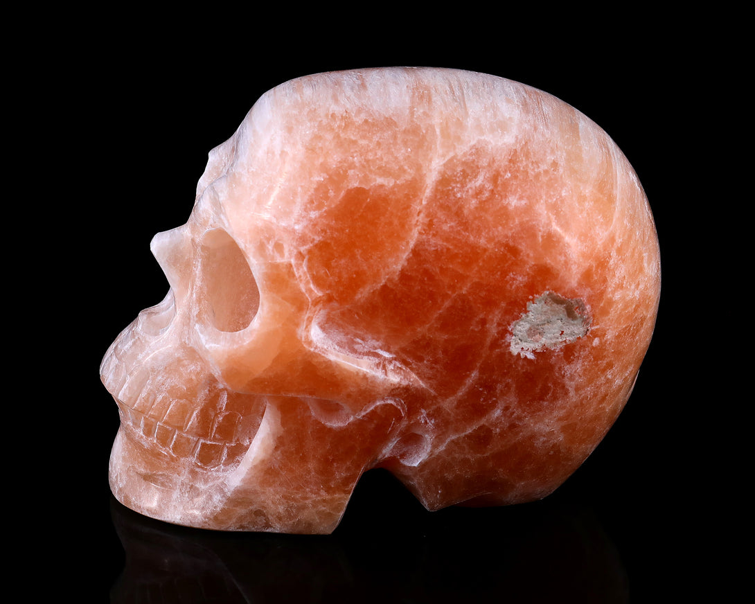 6.9" Orange Selenite Hand Carved Crystal Realistic Skull Sculpture crysvibe