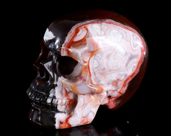 3.0" Natural Red Lace Agate Hand Carved Crystal Realistic Skull Sculpture