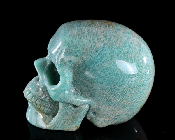 4.3" Natural Amazonite Hand Carved Crystal Realistic Skull Sculpture