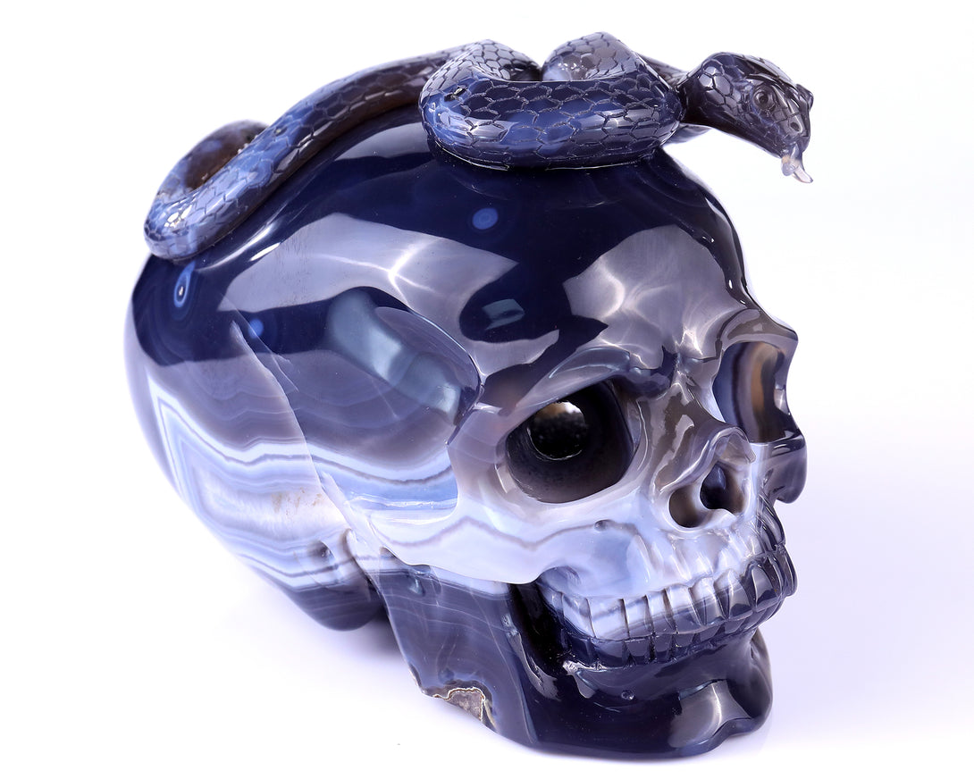 7.1" Geode Agate Hand Carved Crystal Geode Skull and Snake Sculpture crysvibe