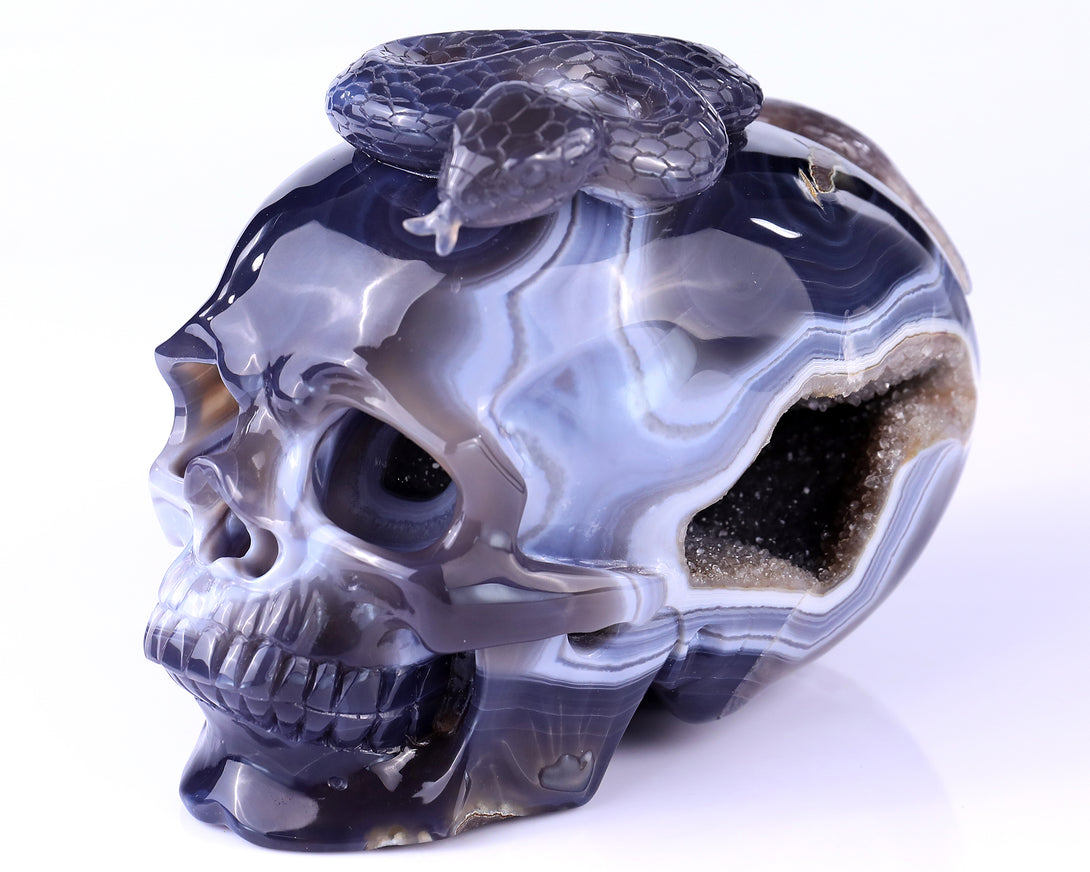 7.1" Geode Agate Hand Carved Crystal Geode Skull and Snake Sculpture crysvibe