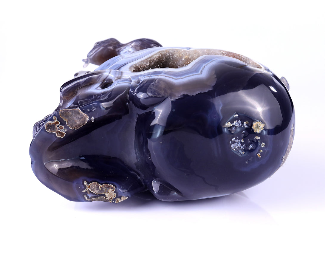 7.1" Geode Agate Hand Carved Crystal Geode Skull and Snake Sculpture crysvibe