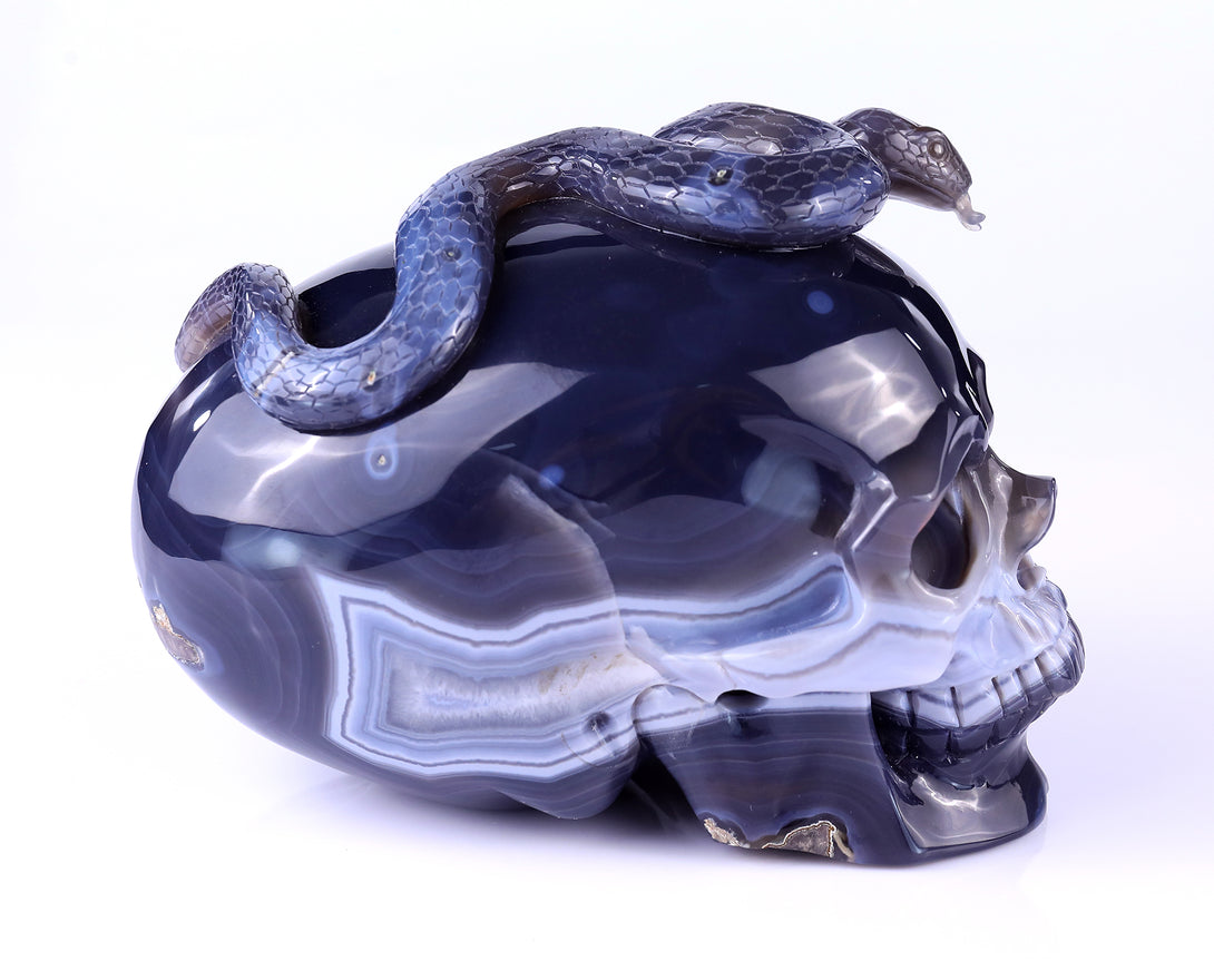 7.1" Geode Agate Hand Carved Crystal Geode Skull and Snake Sculpture crysvibe