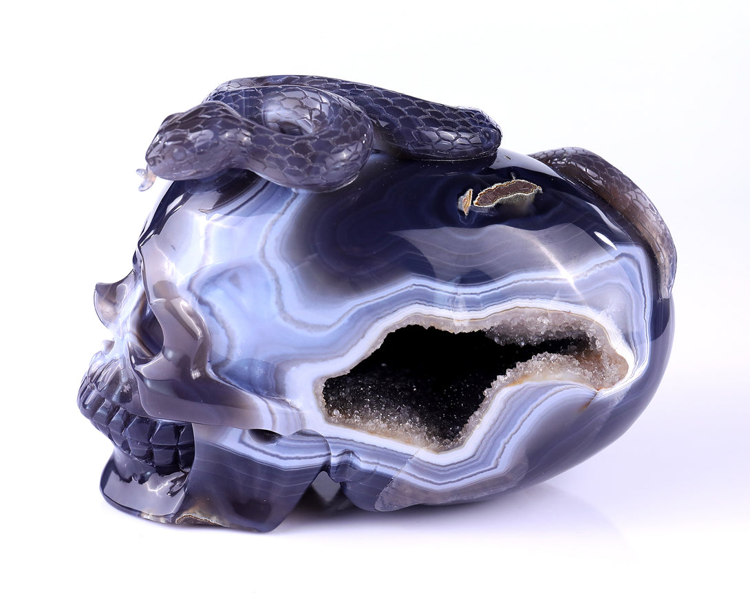 7.1" Geode Agate Hand Carved Crystal Geode Skull and Snake Sculpture crysvibe