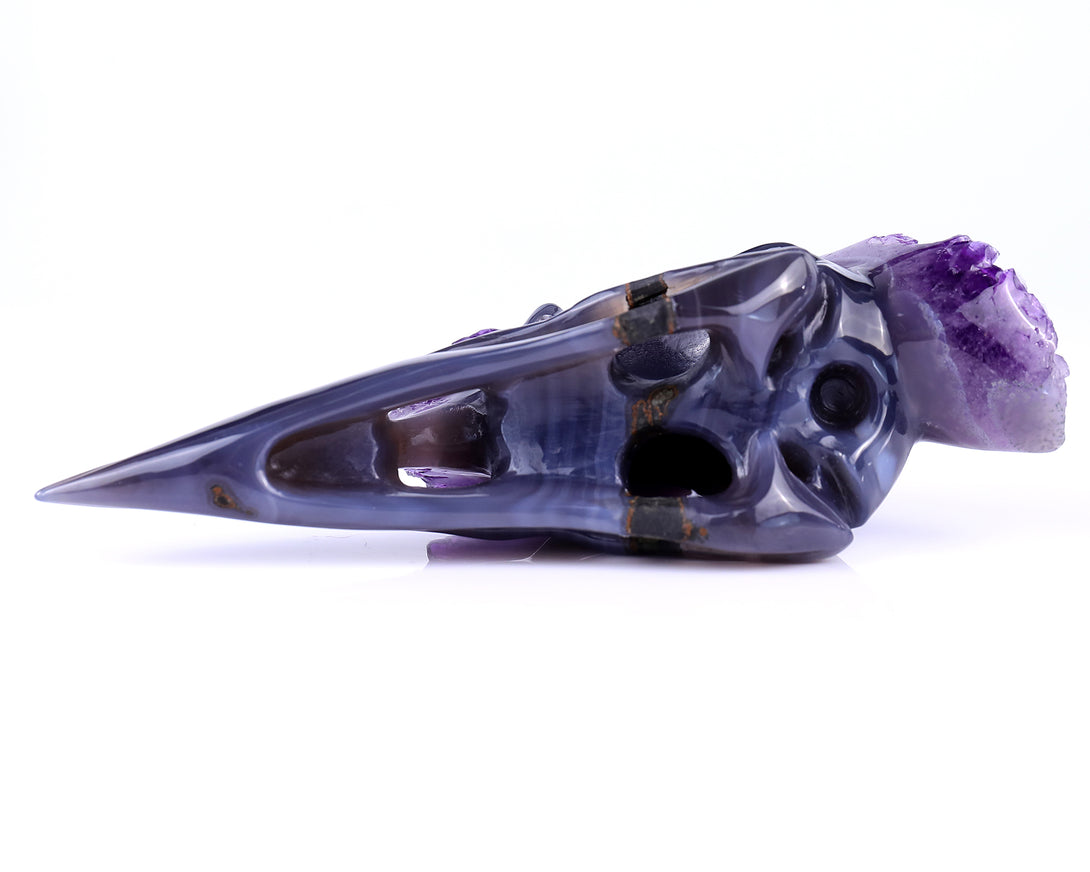 7.2" Amethyst Druse Agate Hand Carved Crystal Geode Raven Skull Sculpture crysvibe