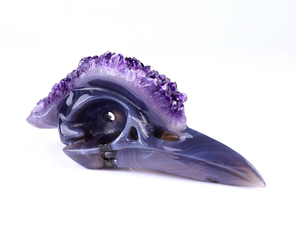 7.2" Amethyst Druse Agate Hand Carved Crystal Geode Raven Skull Sculpture crysvibe